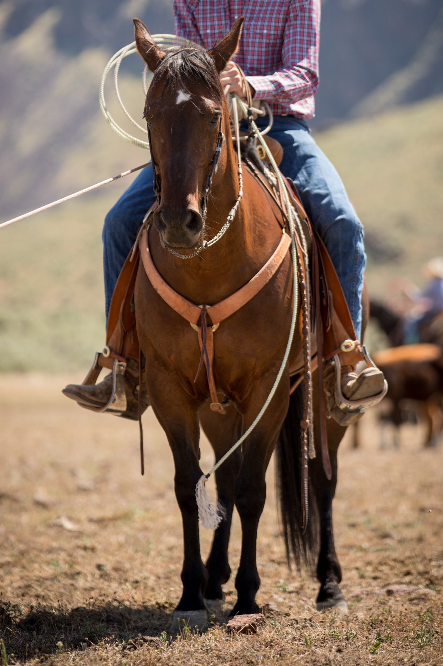 Three-piece Cowboy Breast Collar